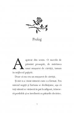 Odata ca niciodata, am cazut intr-un basm