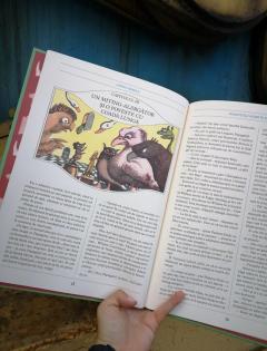 Peripetiile Alisei in Tara Minunilor