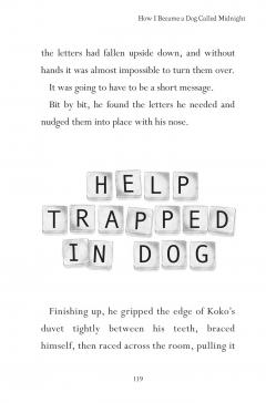 How I Became a Dog Called Midnight