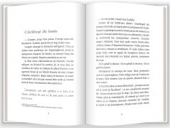 Insemnarile lui Cooper Cameron