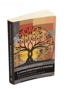 Lumea interioara a traumei