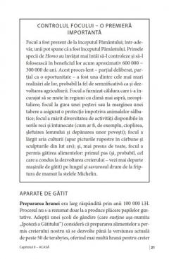 Cartea inceputurilor