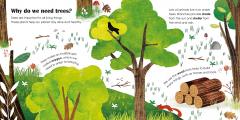 Trees: A lift-the-flap eco book 