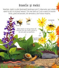 Prima mea carte despre natura