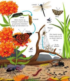 Prima mea carte despre natura