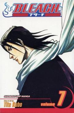 Bleach Vol. 7 