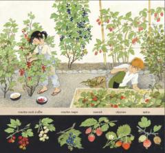 Sarbatoarea fructelor