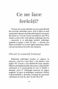 JOEL LEVY / DE CE FACEM LUCRURILE PE CARE LE FACEM - PSIHOLOGIA PE SCURT