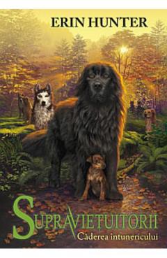 Caderea intunericului