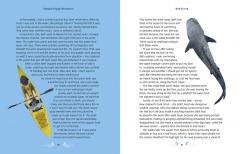 Fantastic Female Adventurers