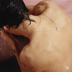 Harry Styles - Vinyl