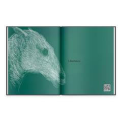 Copile, lumea ta e fara margini