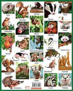 Luna-Betiluna si Dora-Minodora, prietene cu doi arici si alte animale mici