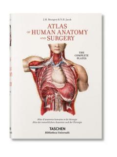 Atlas of Human Anatomy and Surgery