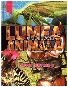 Lumea animala a Moldovei. Nevertebrate