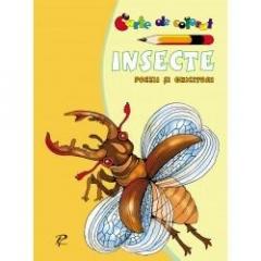 Insecte