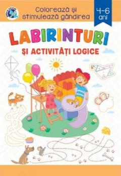 Labirinturi si activitati logice