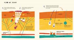 Таиная жизнь болячек