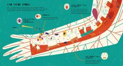 Таиная жизнь болячек