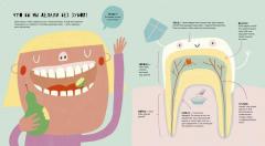 Таиная жизнь зубов