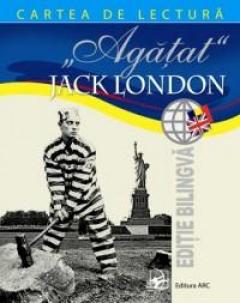 Cartea de lectura. Agatat