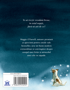 Unde se duc ingerii de zapada