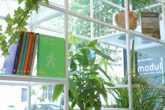 Cum sa traiesti in oras