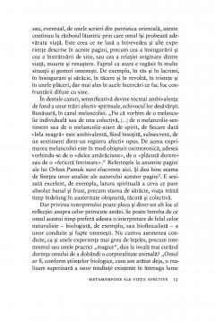 Tratat de filozofia emotiei