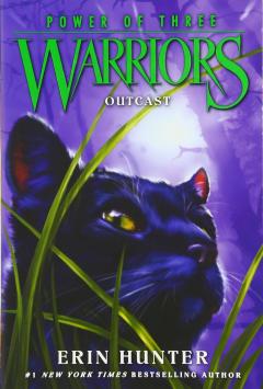 Warriors - Power of Three #3