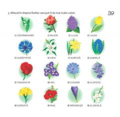 Cel mai frumos creion ‧ Povestea culorilor