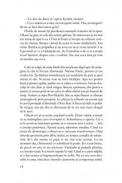 Dansatoarea de Kabuki