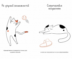 Кот всему голова