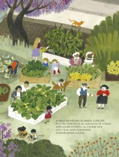 Un an in Orasul Florilor