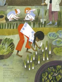 Un an in Orasul Florilor