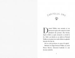 Domnul Walker si un desert delicios