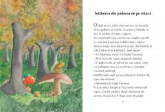 Micul Dragon Coconut si marele vrajitor