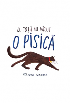 Cu totii au vazut o pisica