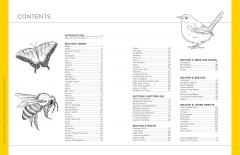 Draw Like an Artist: 100 Birds, Butterflies, and Other Insects
