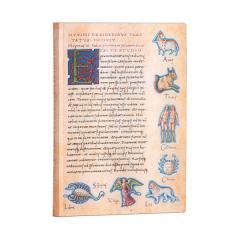 Carnet - Midi, Lined - Astronomica