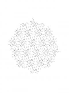 Micul Print - carte de colorat care sa te puna pe ganduri