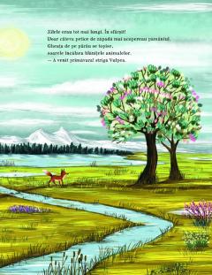 A venit primavara in padure!