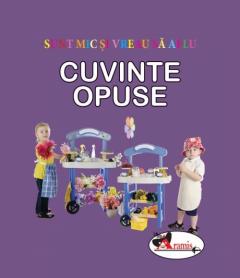 Cuvinte opuse
