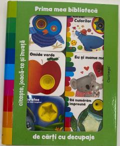 Prima mea biblioteca de carti cu decupaje