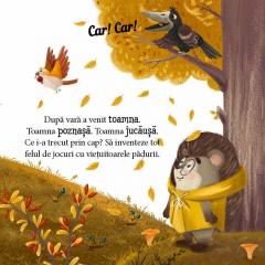 Aricelul si insorita vara. Aricelul si imbelsugata toamna