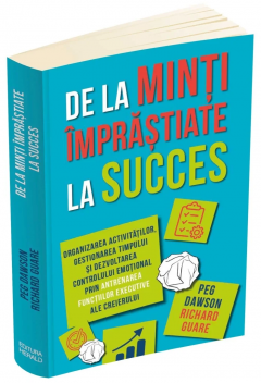 De la minti imprastiate la succes