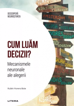 Cum luam decizii