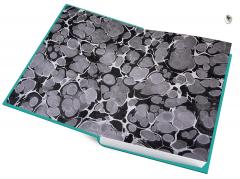 The Adventures of Sherlock Holmes