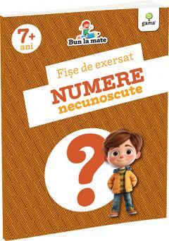 Fise de exersat. Numere necunoscute