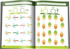 Fise de exersat. Sus, jos, stanga, dreapta