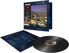 A Momentary Lapse Of Reason - Vinyl